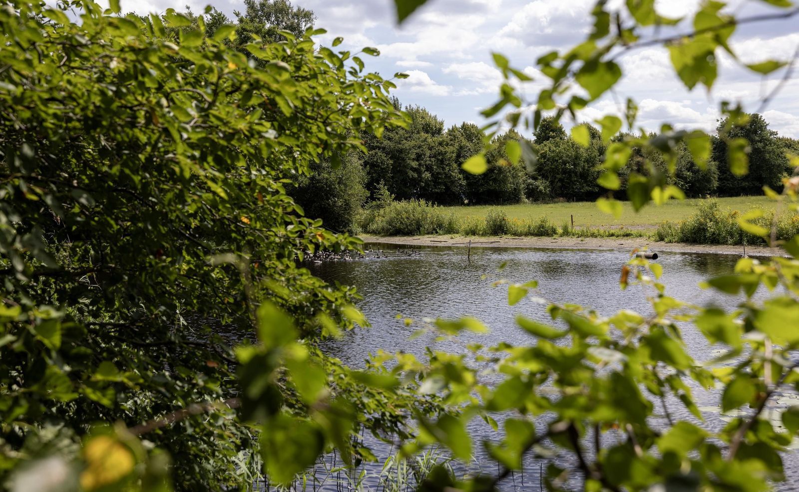 Stenendijk 8, Beerzerveld foto-75