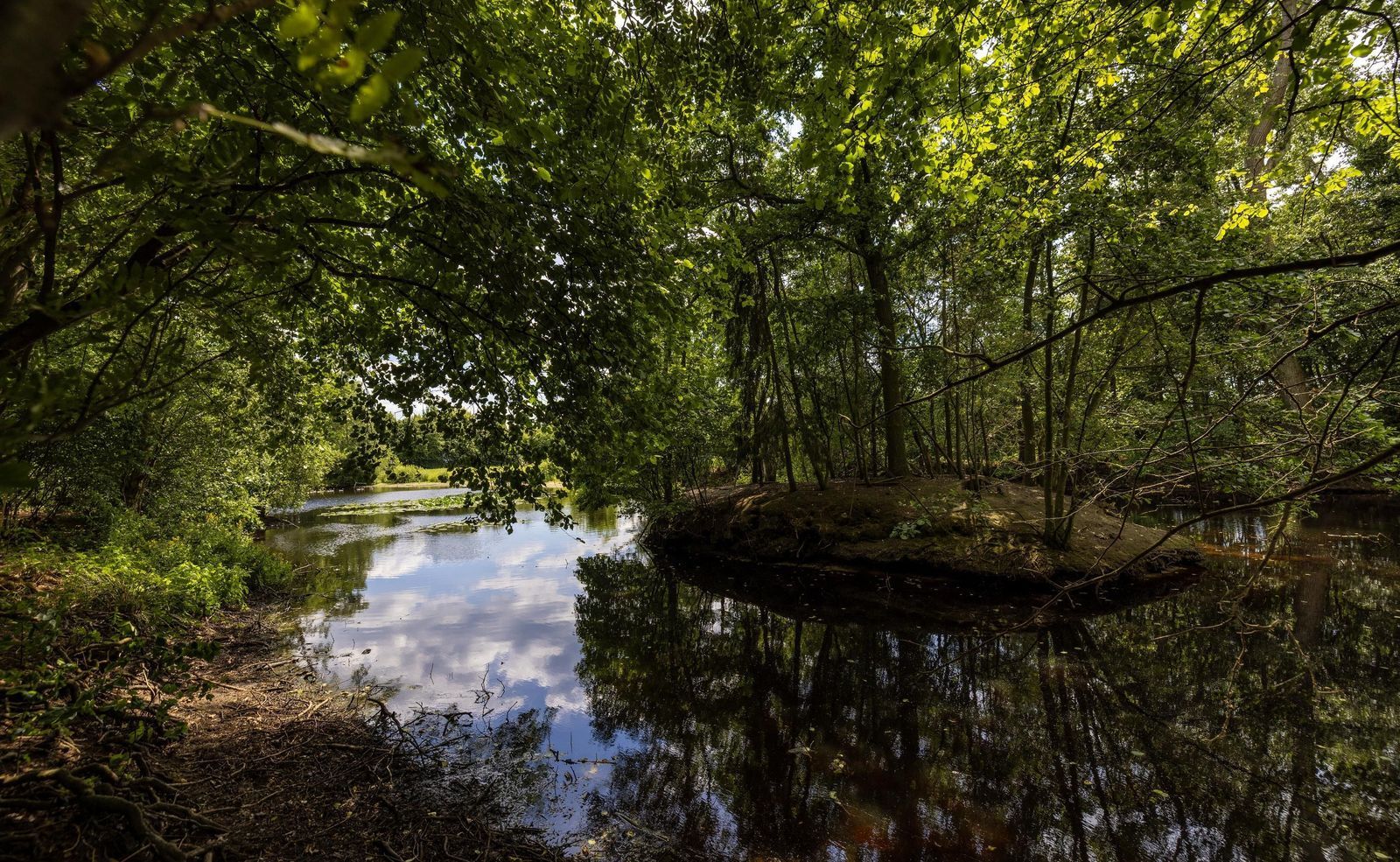 Stenendijk 8, Beerzerveld foto-76