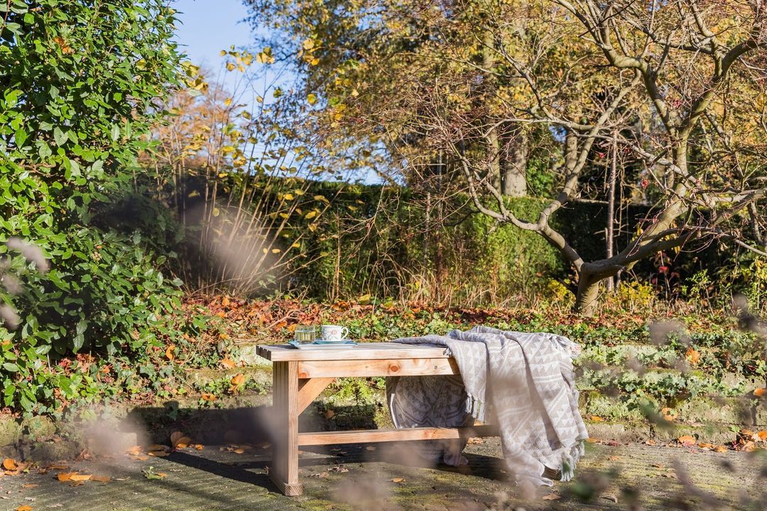 Falkenburgerf 1 image thumbs 1