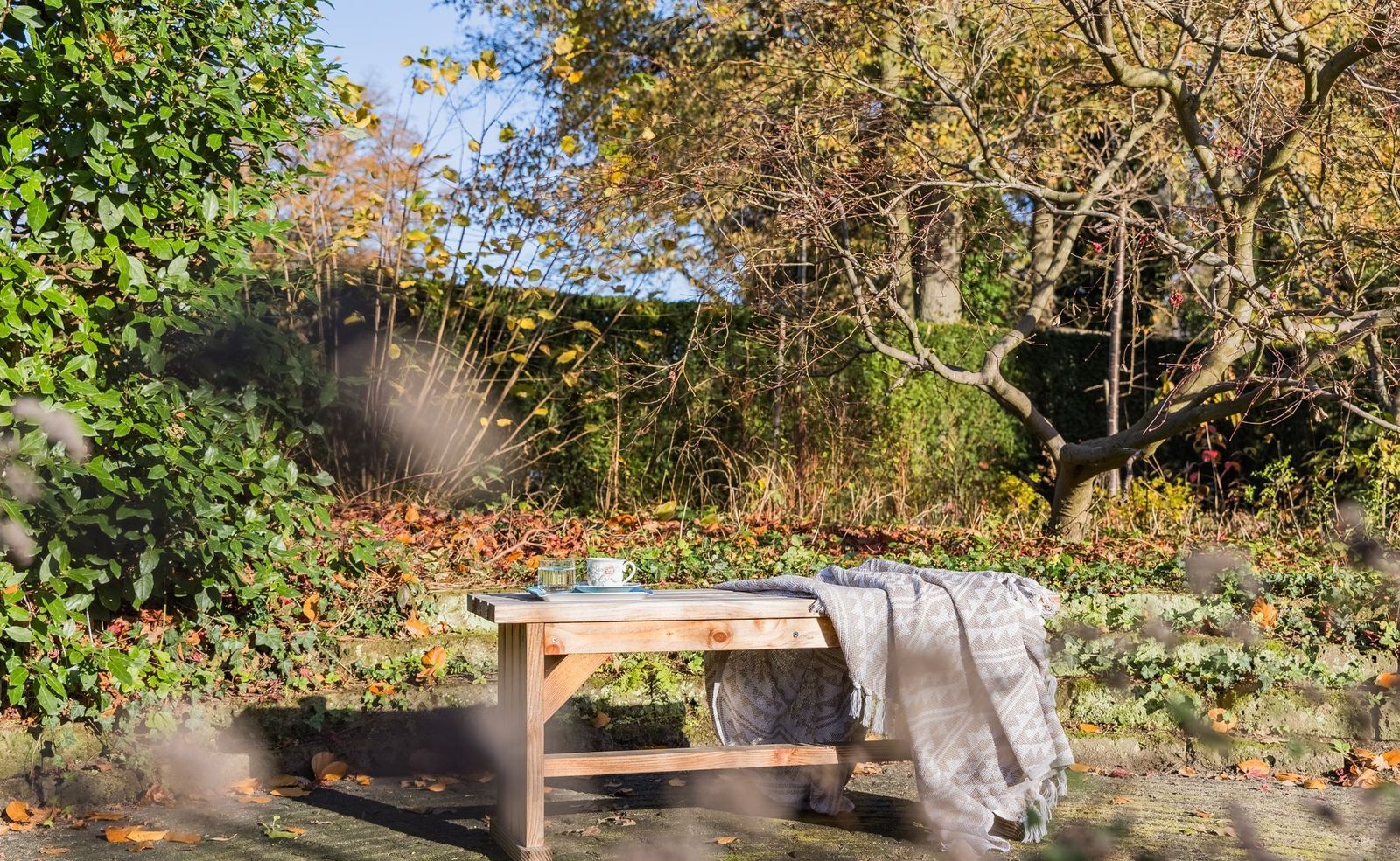 Falkenburgerf 1, Ommen foto-44