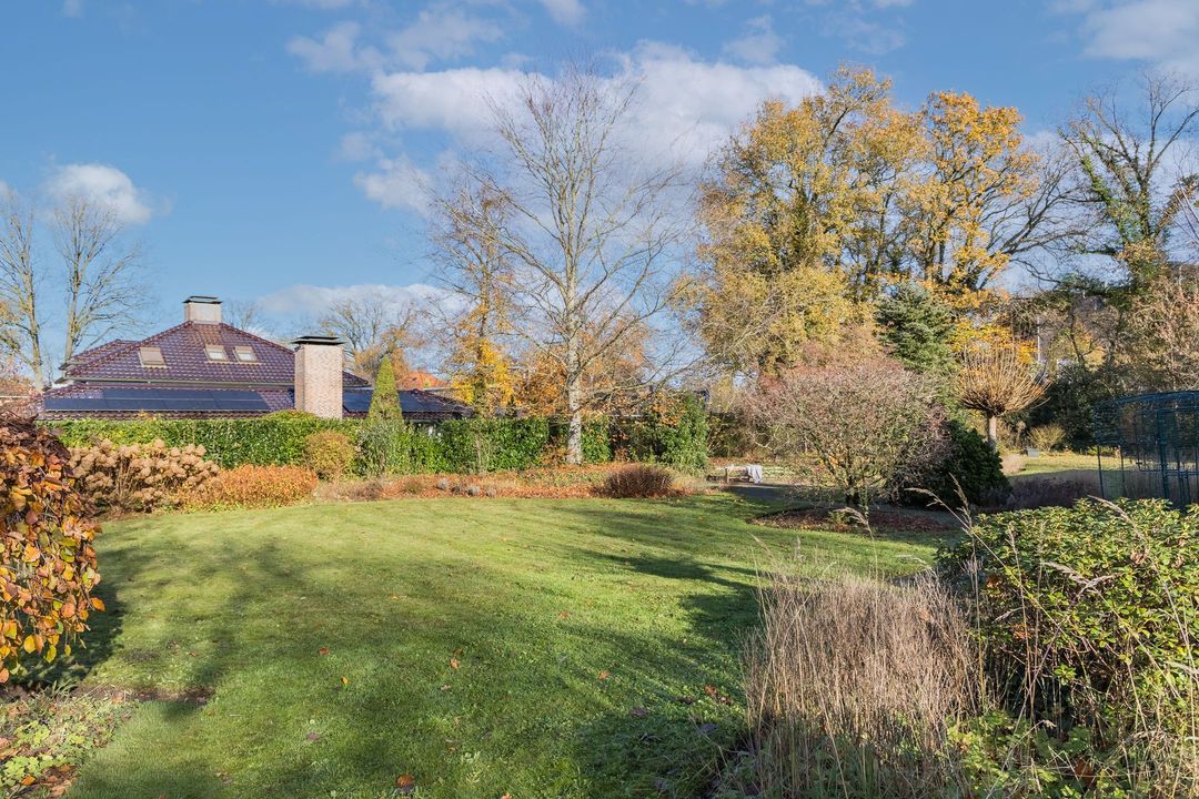 Falkenburgerf 1 image thumbs 1