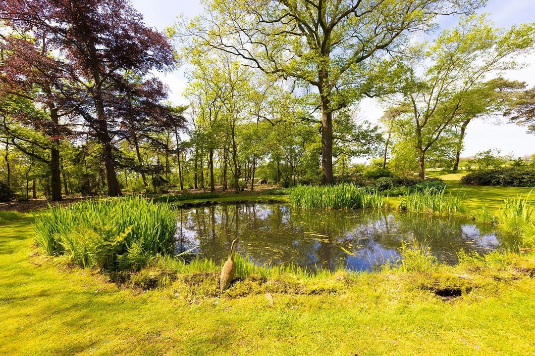 Oude Tolweg 3 image thumbs 1