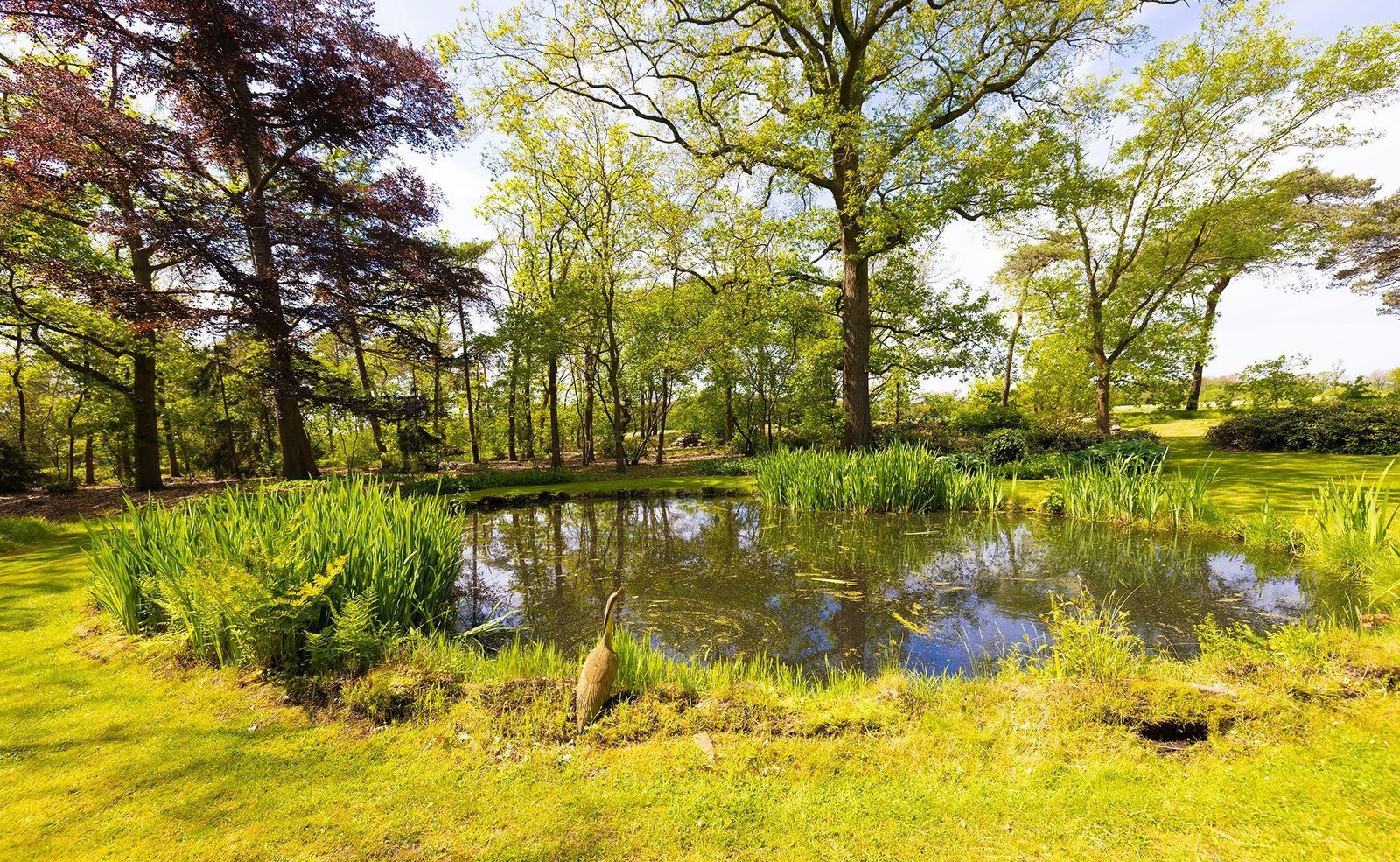 Oude Tolweg 3, Wierden foto-41