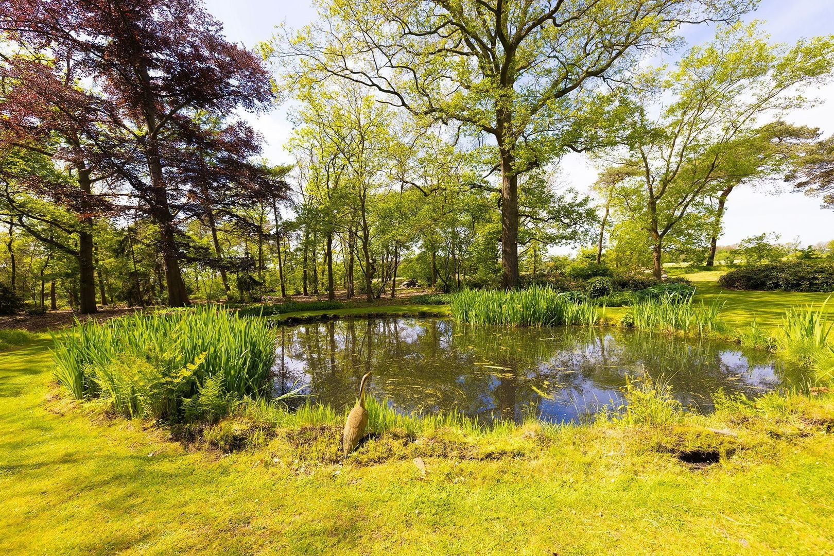 Oude Tolweg 3 image 1