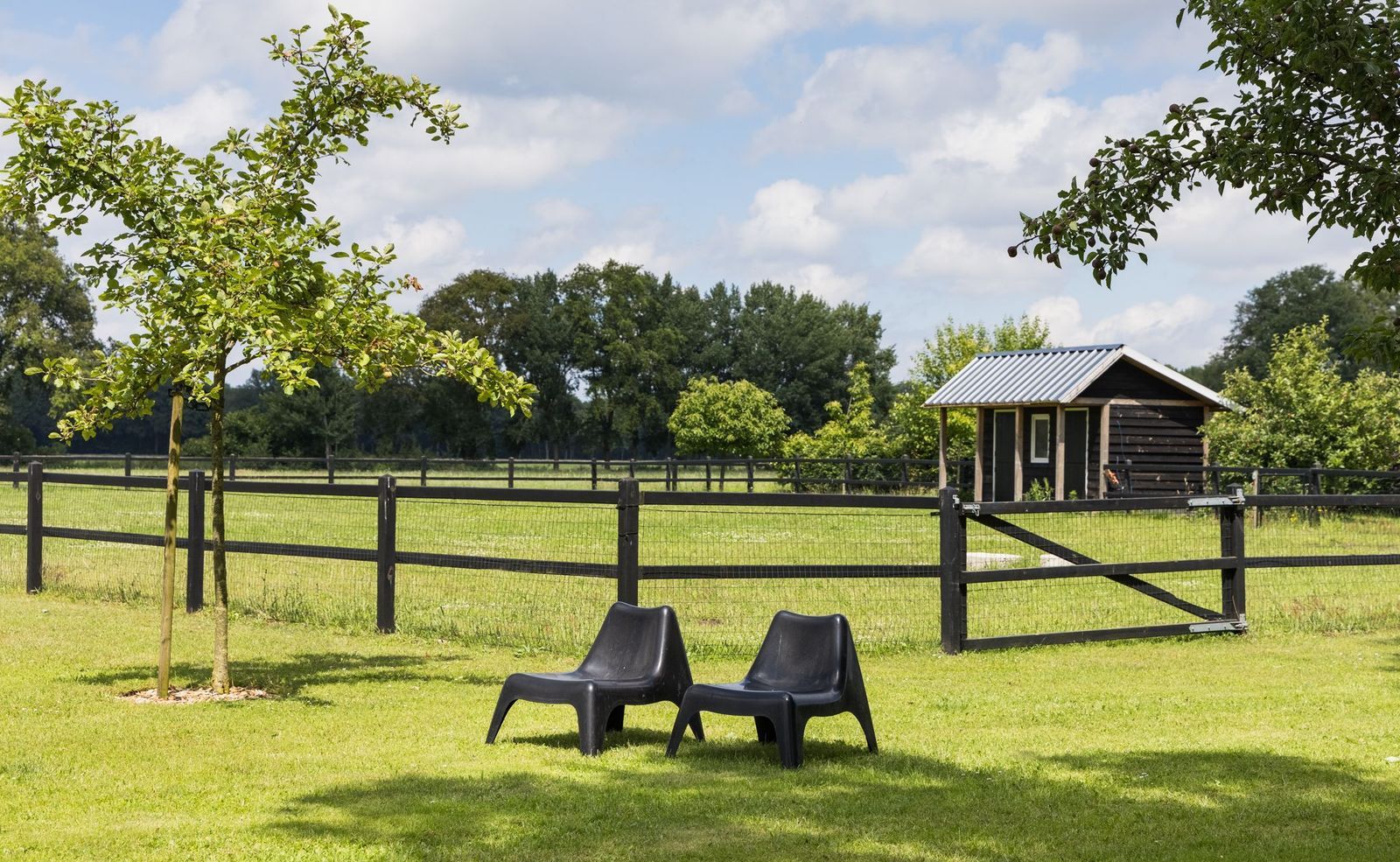 Rijksweg 11 b, Ambt Delden foto-37