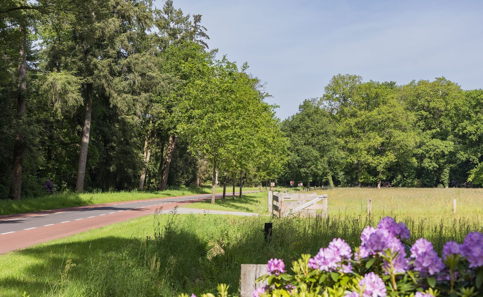 Strootsweg 390, Enschede foto-6