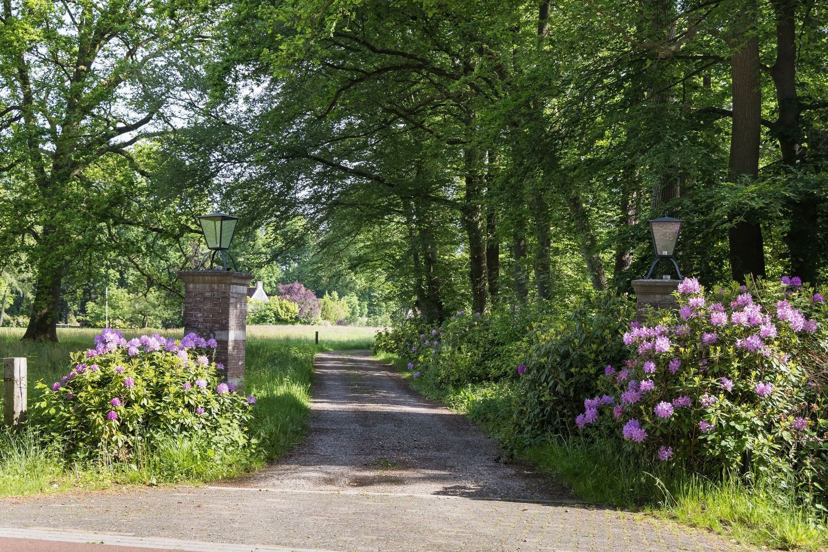 Strootsweg 390 image 1