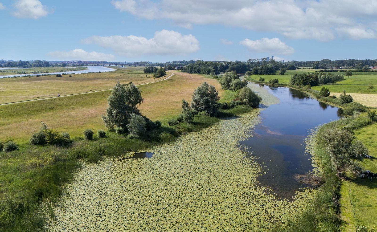 Kleine Veerweg 14, Zwolle foto-33