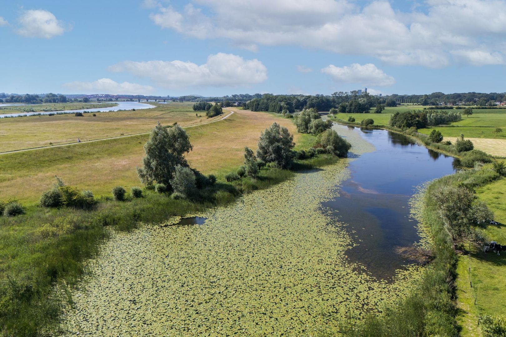 Kleine Veerweg 14 image 1