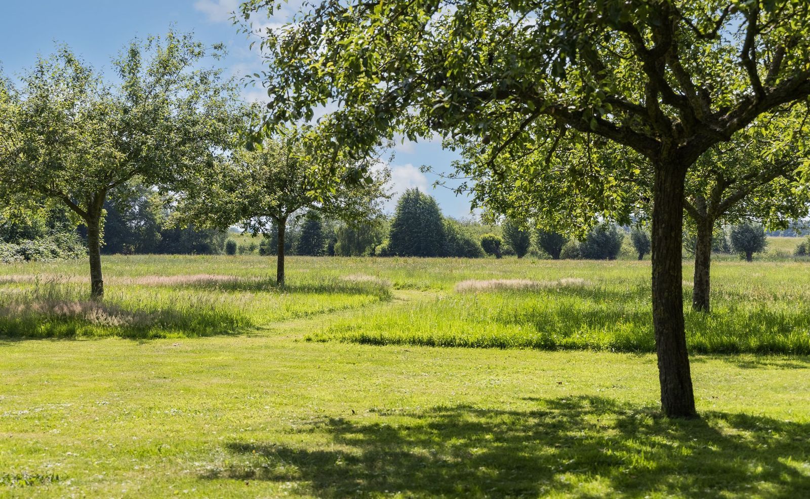 Kleine Veerweg 14, Zwolle foto-27