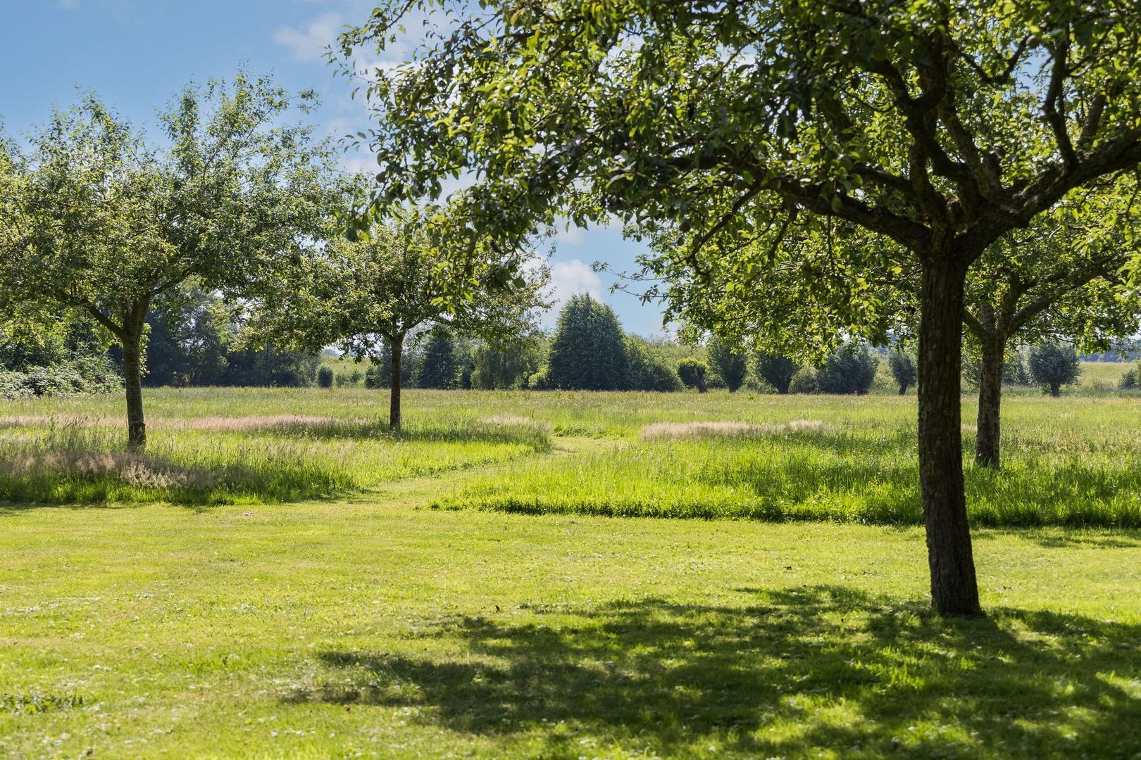 Kleine Veerweg 14 image 1