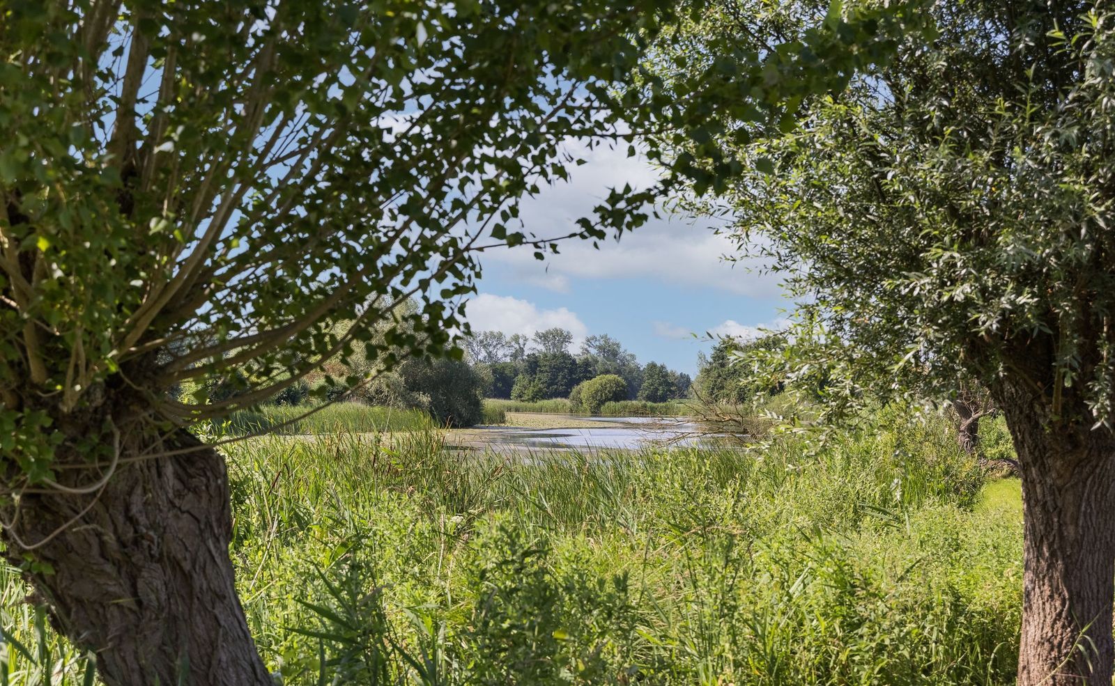 Kleine Veerweg 14, Zwolle foto-32