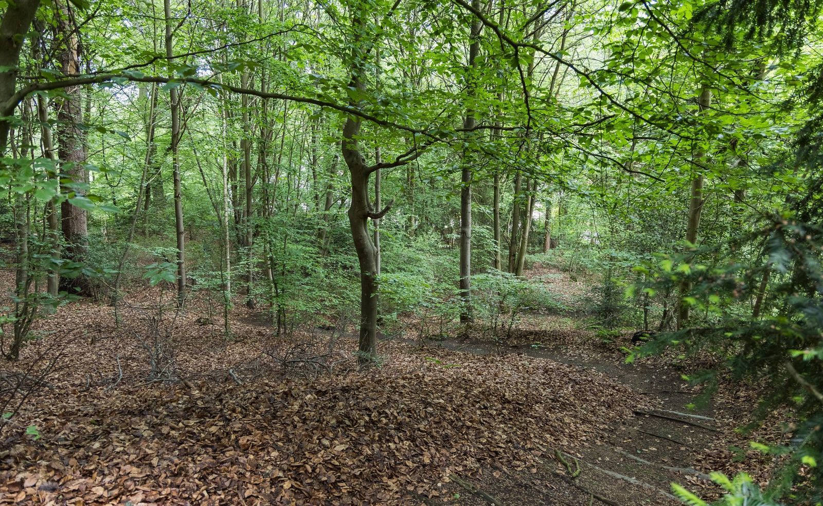 Jan Dommer van Poldersveldtweg 4, Ubbergen foto-45