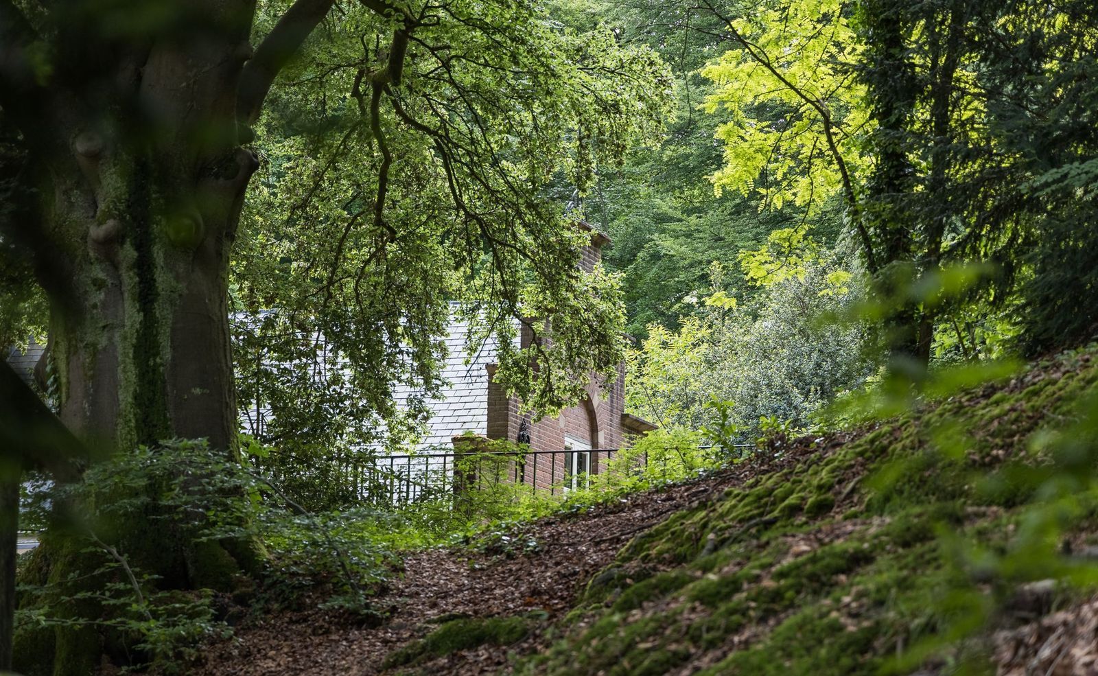 Jan Dommer van Poldersveldtweg 4, Ubbergen foto-44