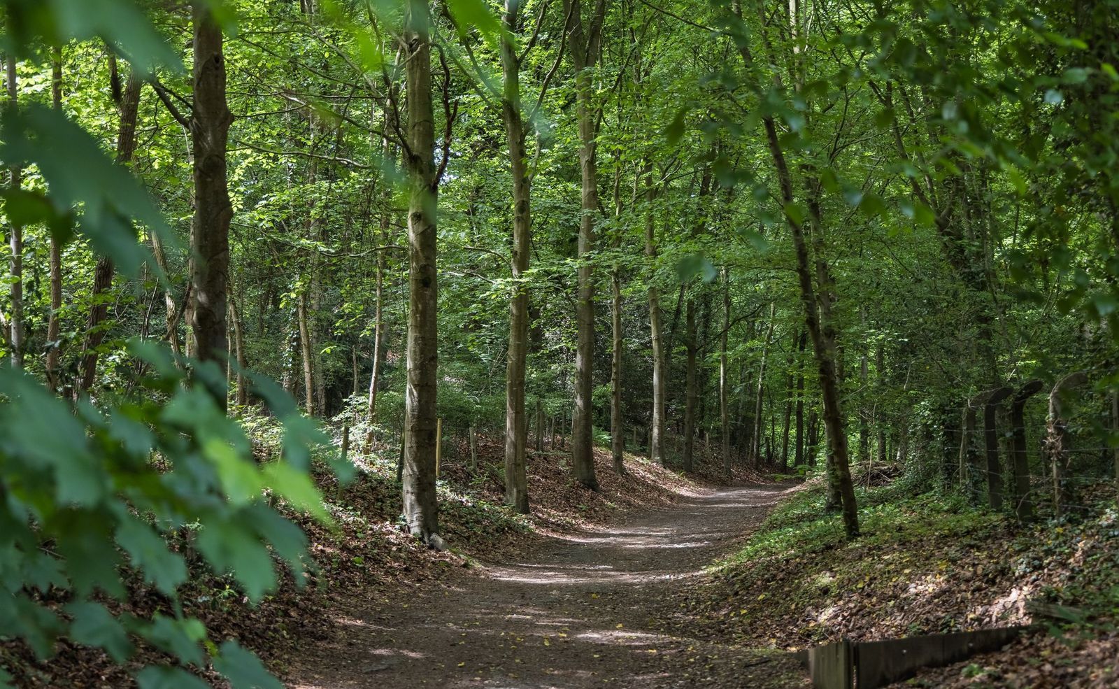 Jan Dommer van Poldersveldtweg 4, Ubbergen foto-46
