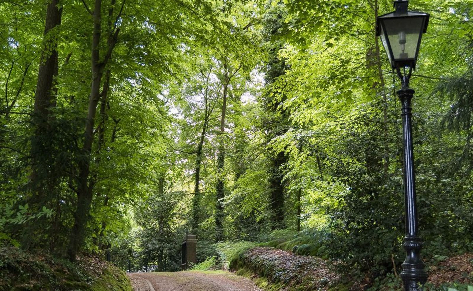 Jan Dommer van Poldersveldtweg 4, Ubbergen foto-5
