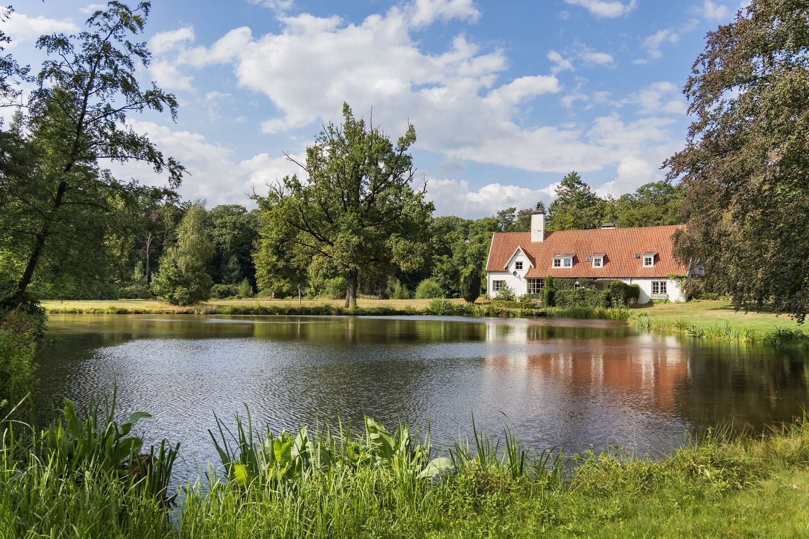 Haagsebosweg 38 image 1