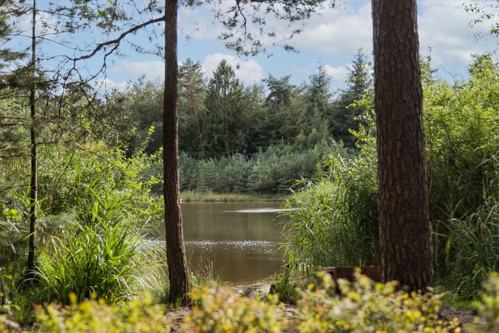 Haagsebosweg 38 image 1