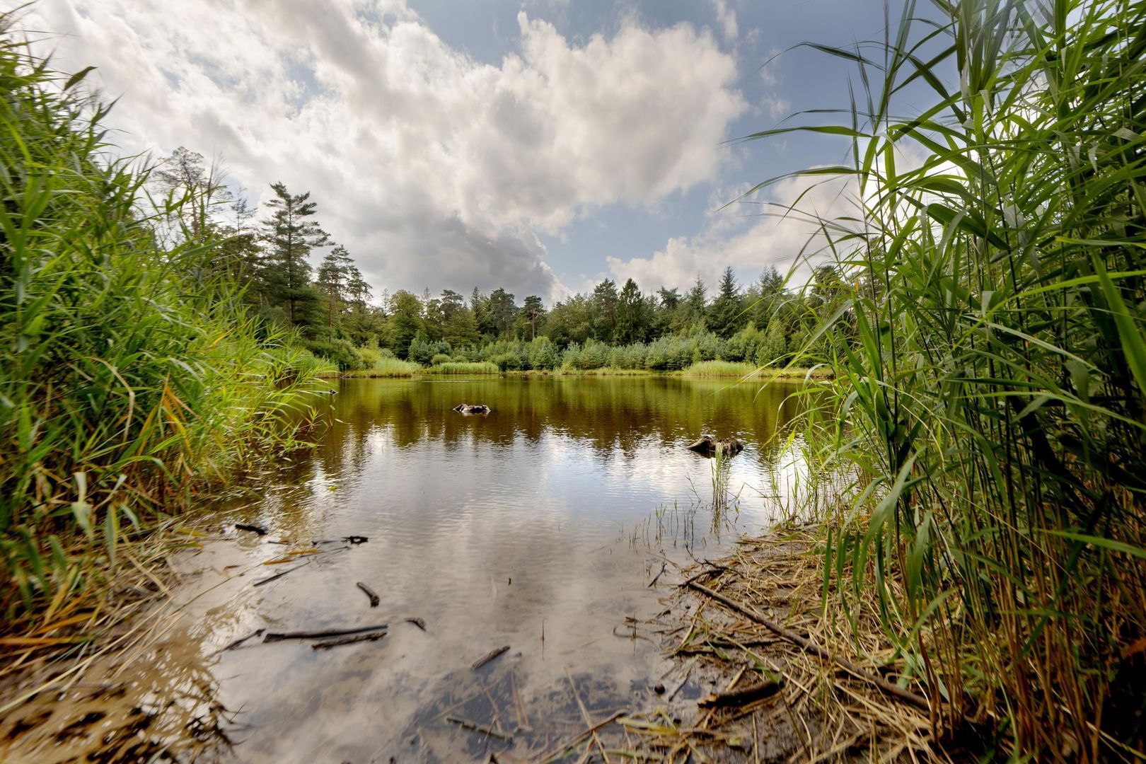 Haagsebosweg 38 image 1