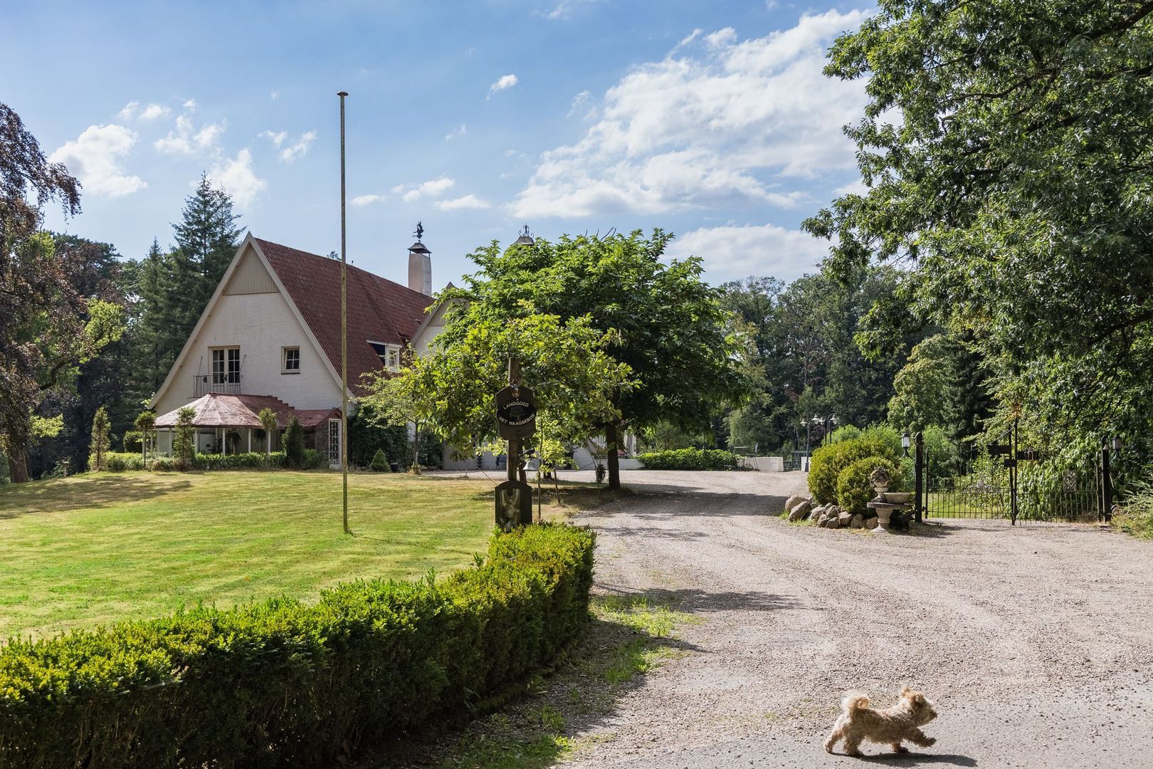 Haagsebosweg 38 image 1