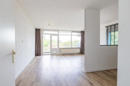 Spinaker 227, Amsterdam