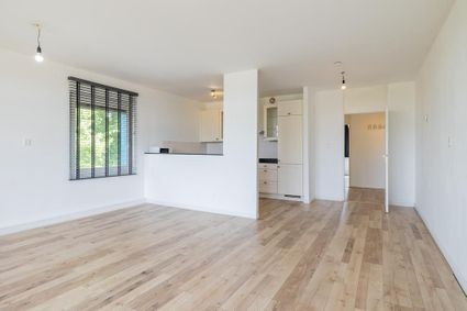 Spinaker 227, Amsterdam