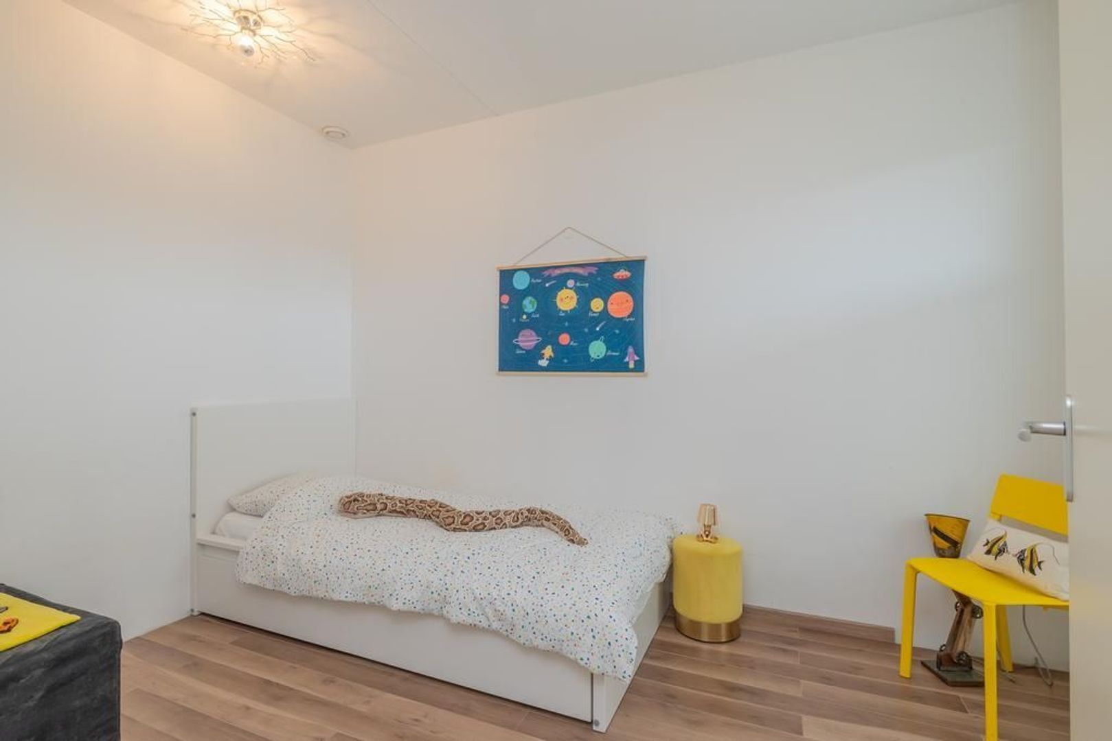 Domela Nieuwenhuisstraat 108, Amsterdam foto-23