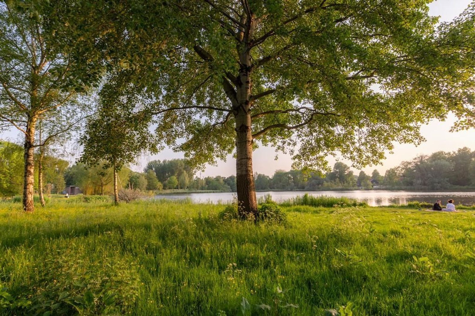 Beemsterstraat 442, Amsterdam foto-24