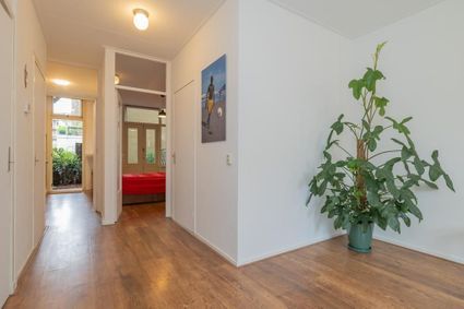 Van Hallstraat 19 H, Amsterdam