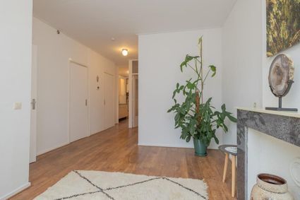 Van Hallstraat 19 H, Amsterdam