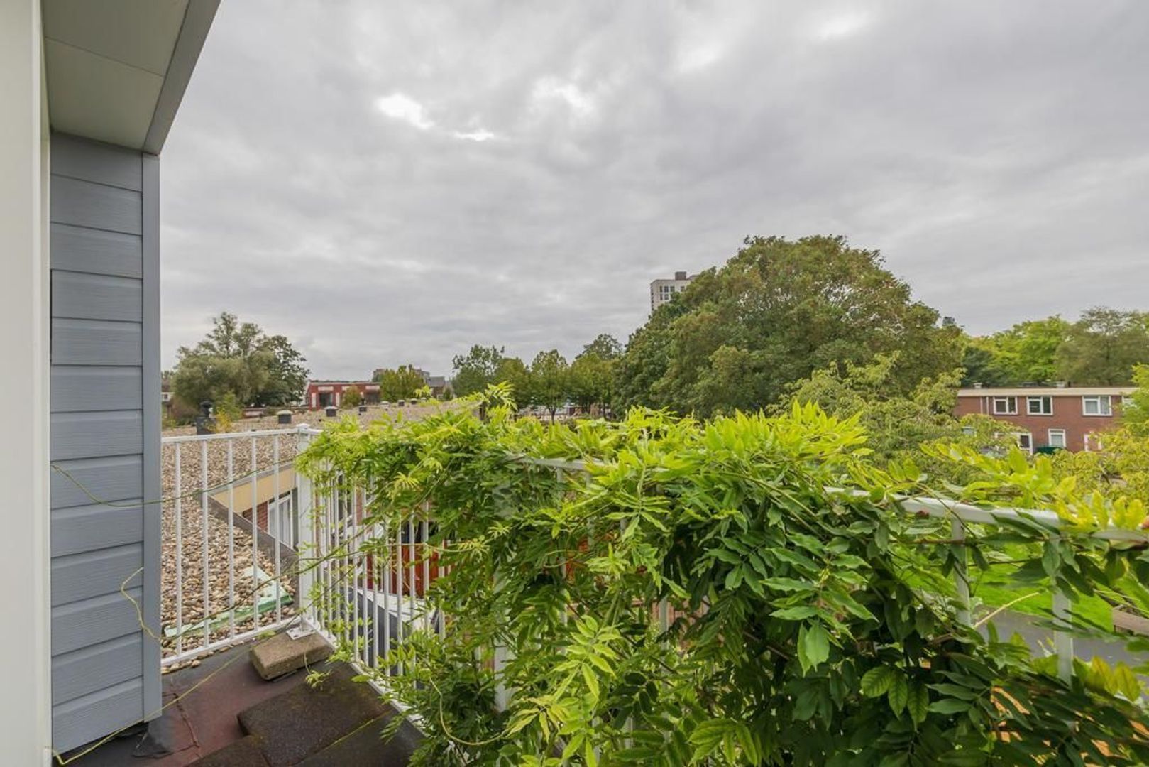 Wildrijkstraat 25, Amsterdam foto-38