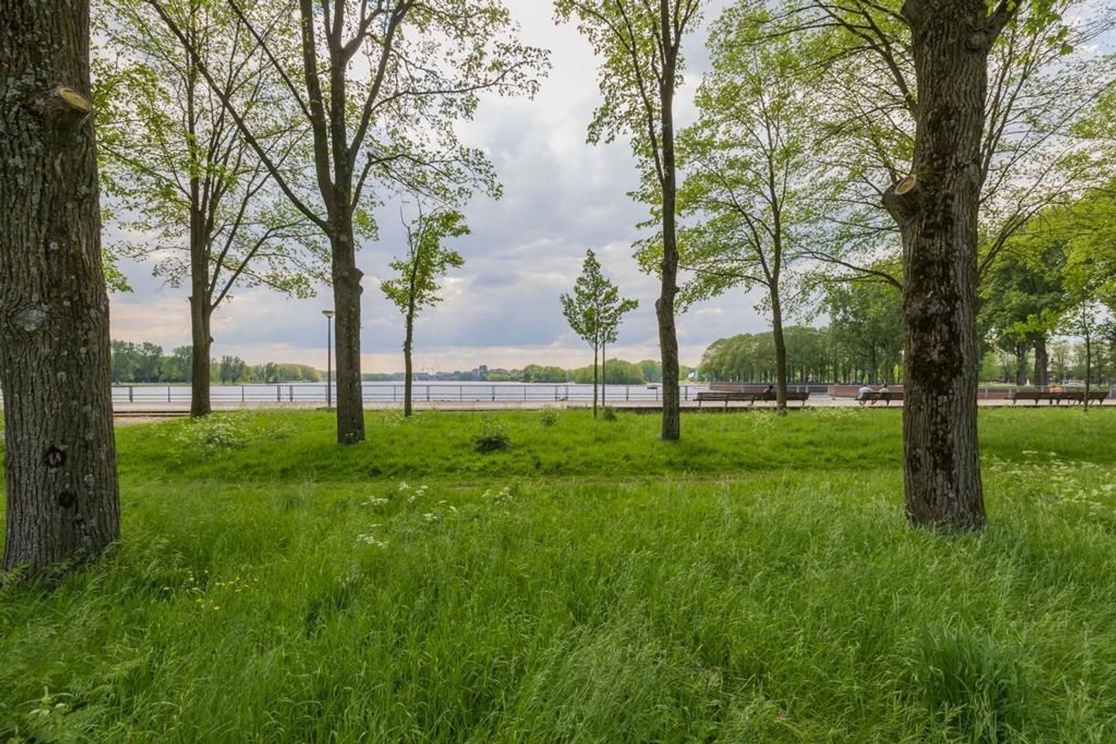 Burgemeester Hogguerstraat 1015, Amsterdam foto-28