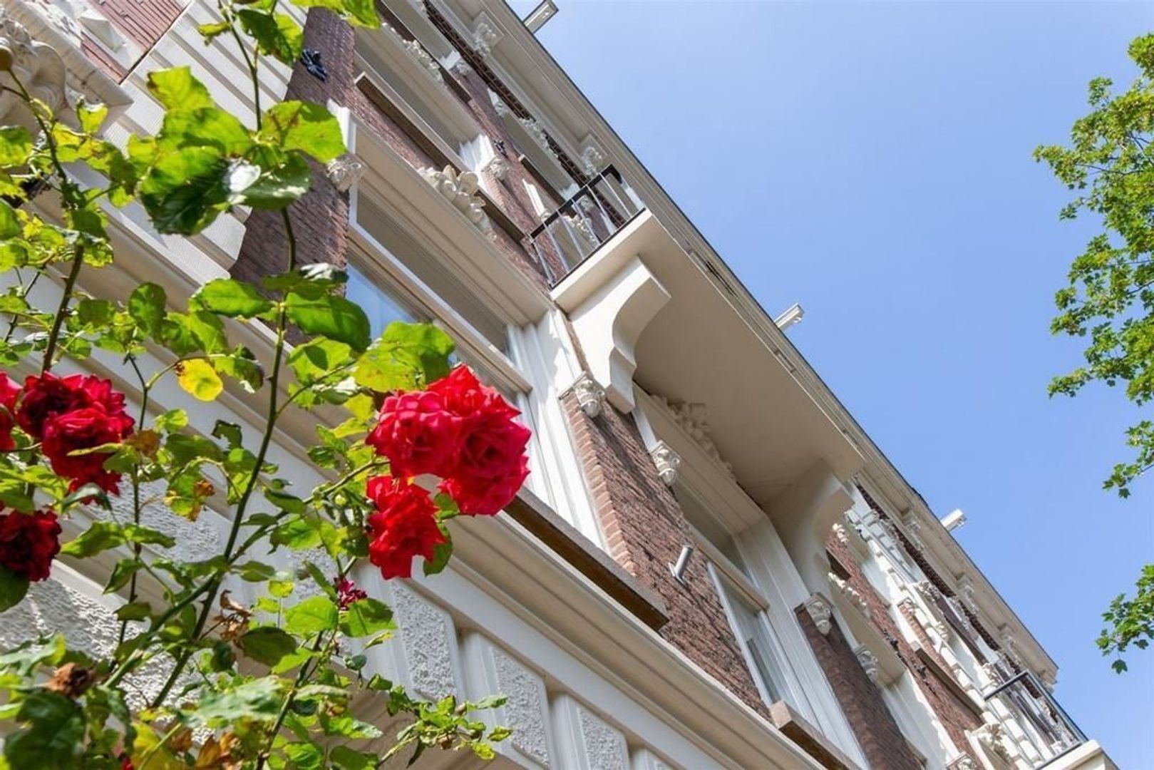 Swammerdamstraat 10 1, Amsterdam foto-29