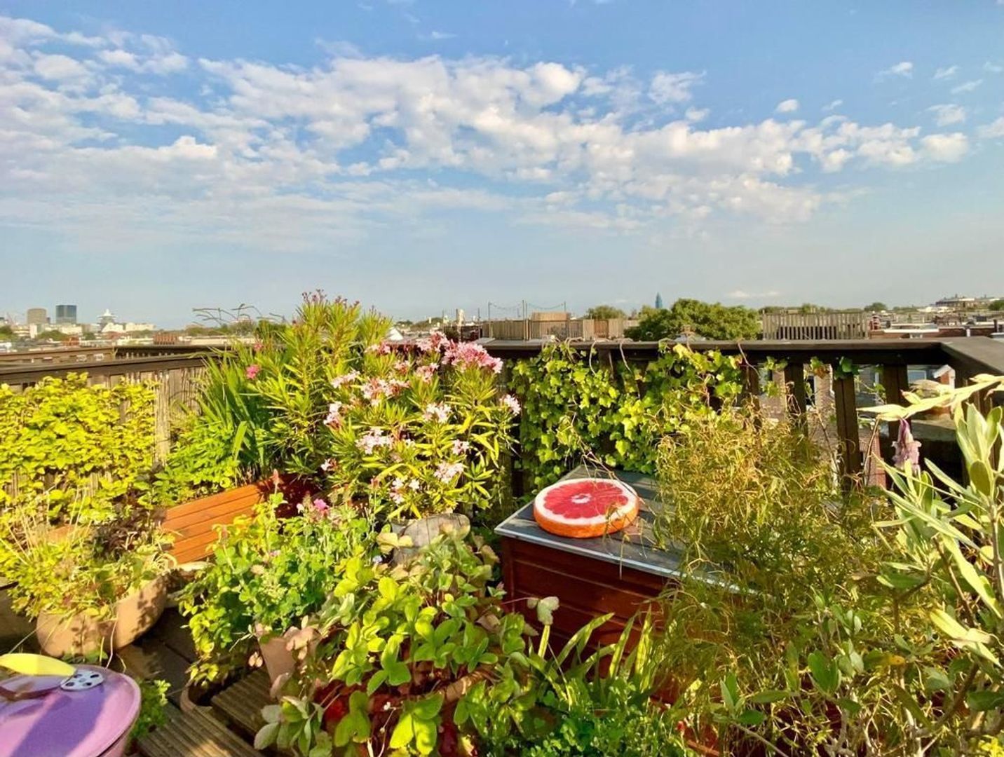 Van der Hoopstraat 88 3, Amsterdam foto-34