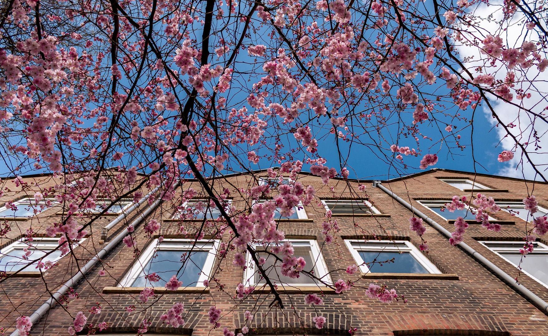Haarlemmerweg 49 H, Amsterdam foto-23