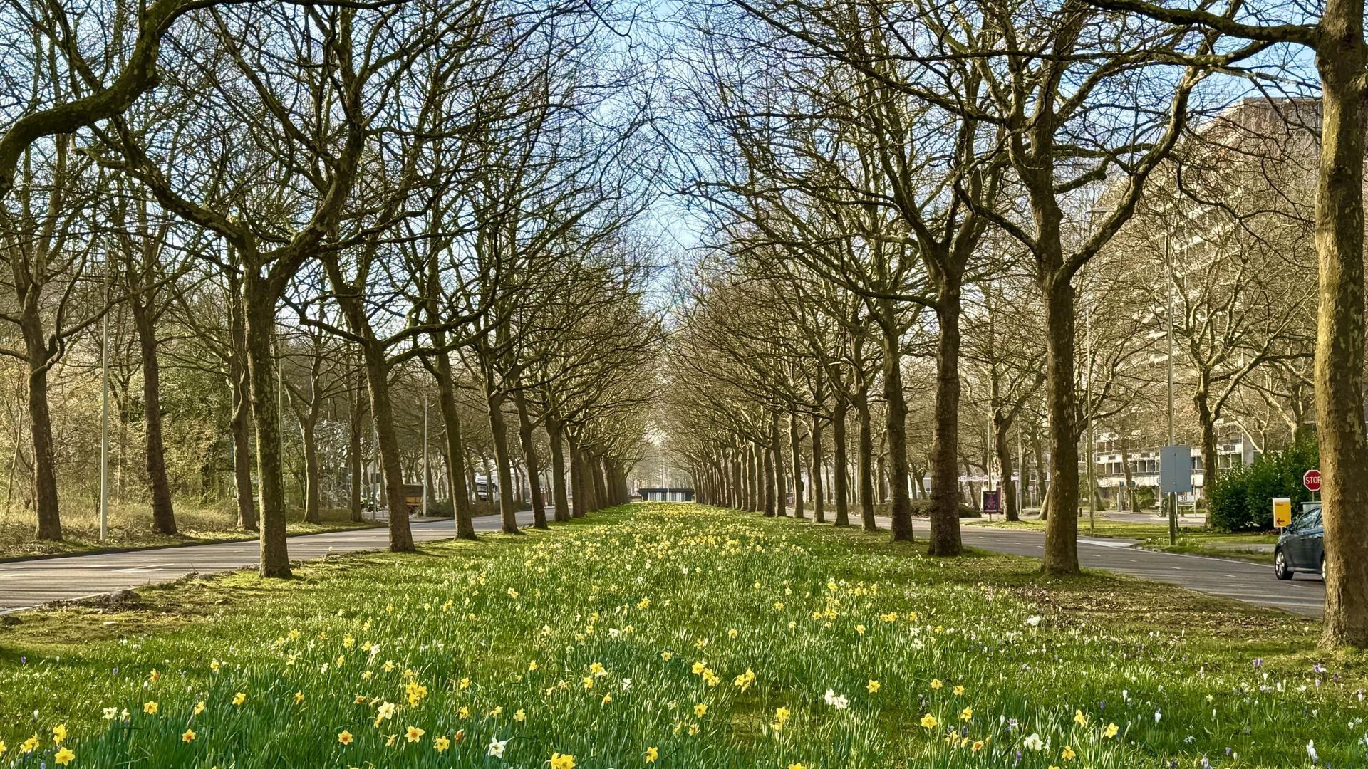 Beysterveld 161, Amsterdam foto-36