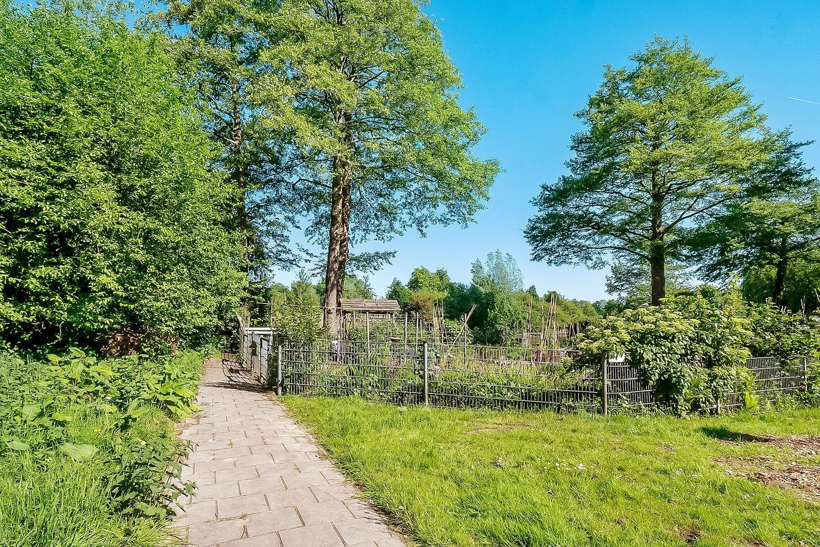 Groenhoven 840, Amsterdam foto-22