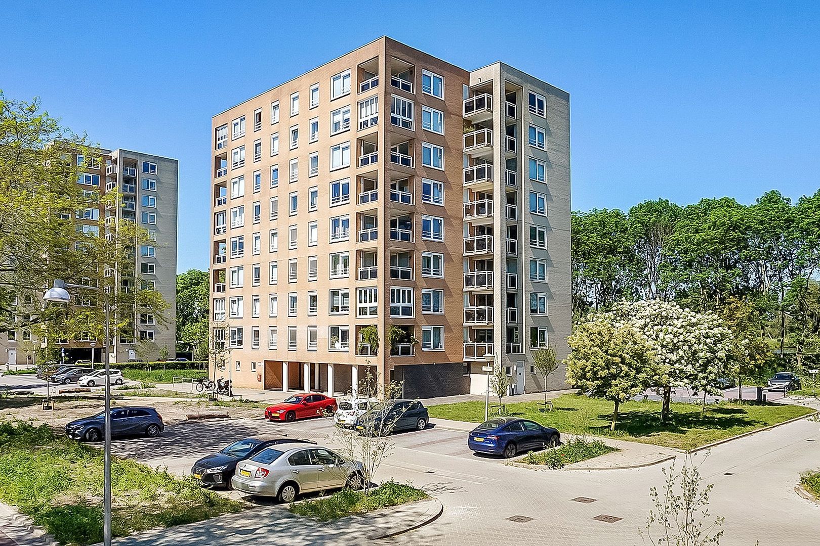 Hermelijnvlinder 165, Diemen foto-0