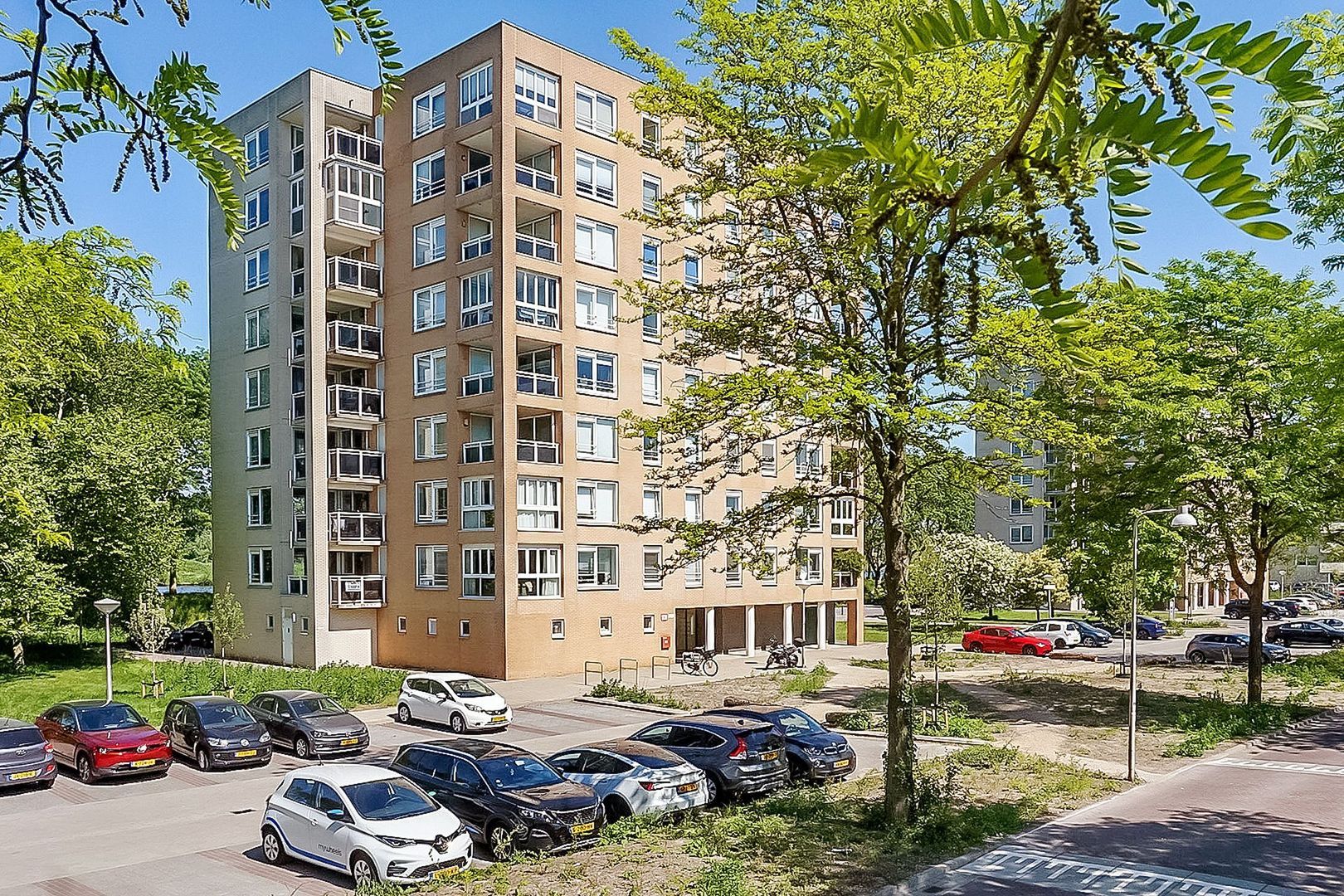 Hermelijnvlinder 165, Diemen foto-28