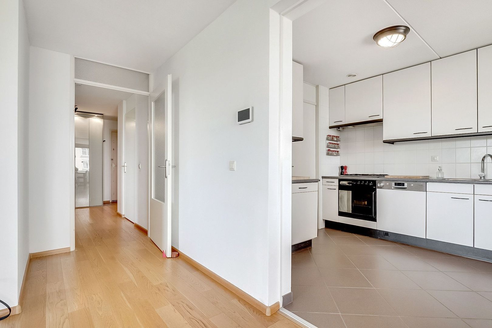 Hermelijnvlinder 165, Diemen foto-13