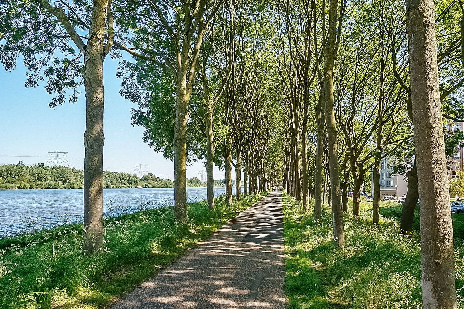 Hermelijnvlinder 165, Diemen foto-30