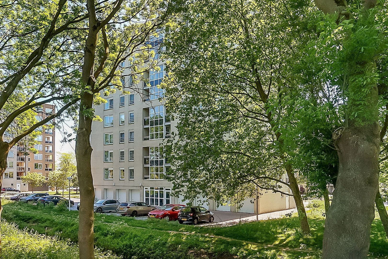 Hermelijnvlinder 165, Diemen foto-31