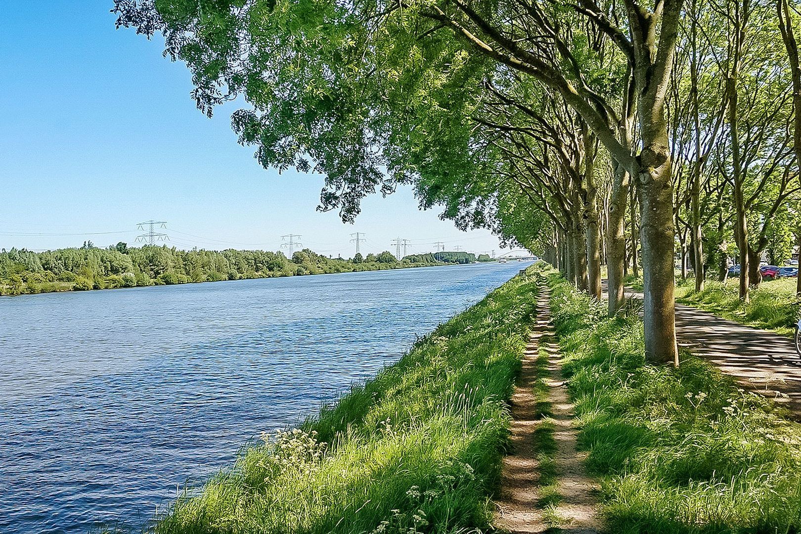 Hermelijnvlinder 165, Diemen foto-32