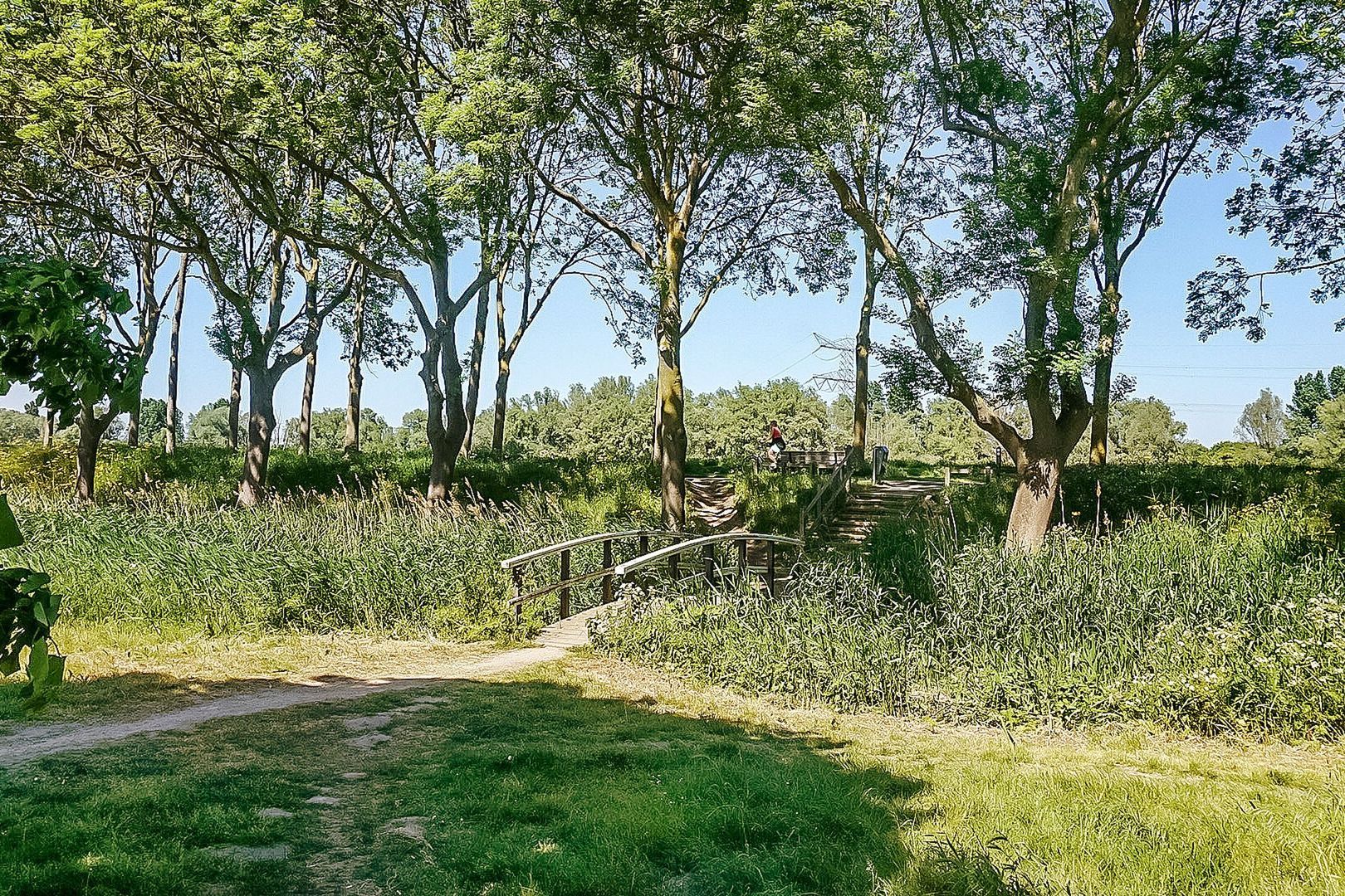 Hermelijnvlinder 165, Diemen foto-33