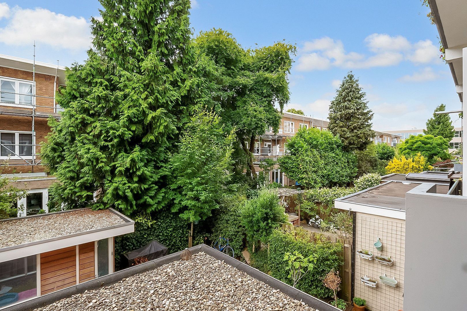 Linnaeusparkweg 246 1, Amsterdam foto-11