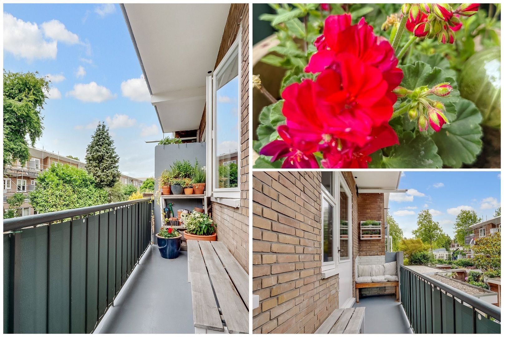 Linnaeusparkweg 246 1, Amsterdam foto-17