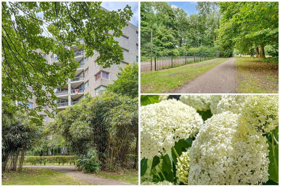 Groenhoven 449, Amsterdam