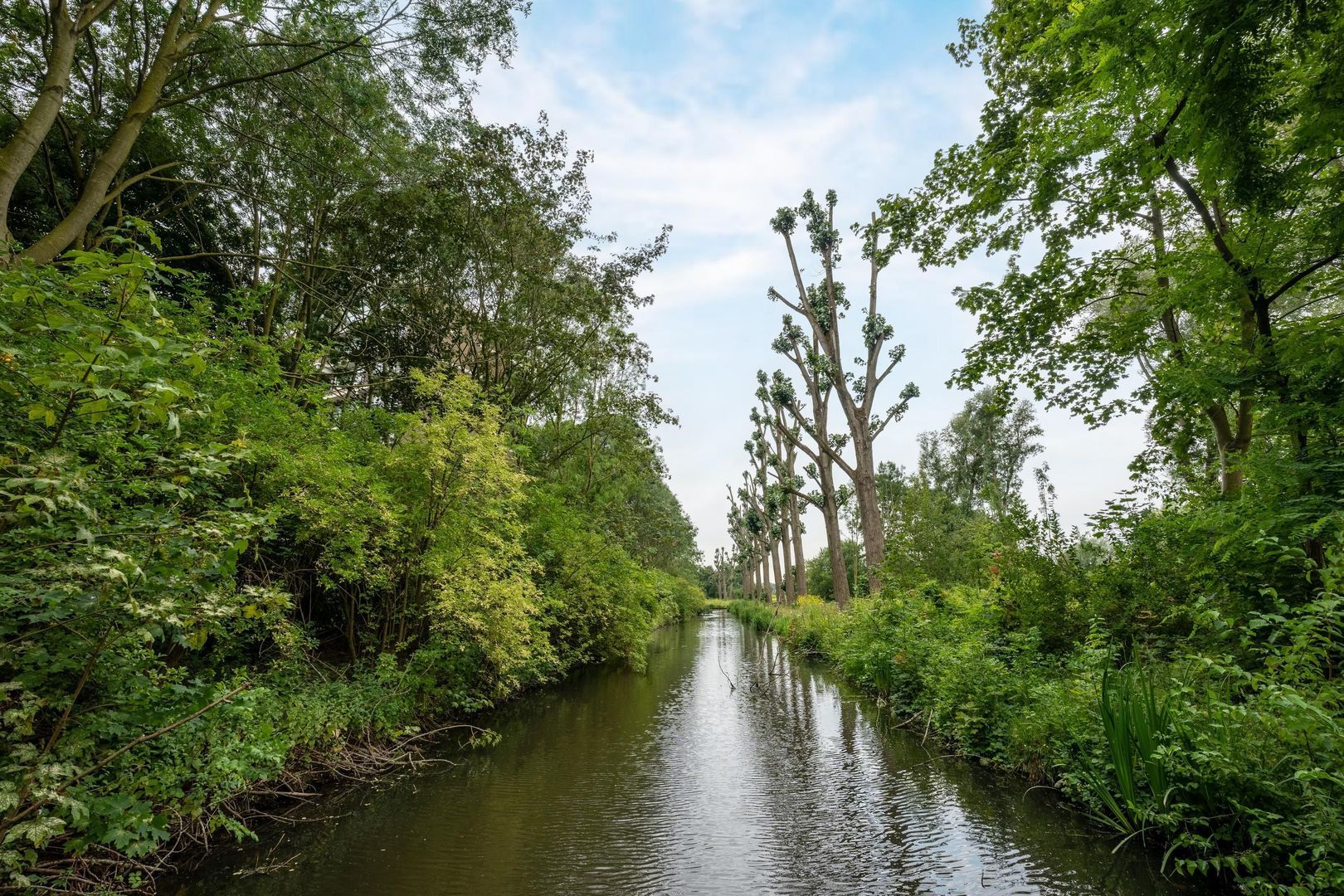 Tobias Asserlaan 360, Diemen foto-22