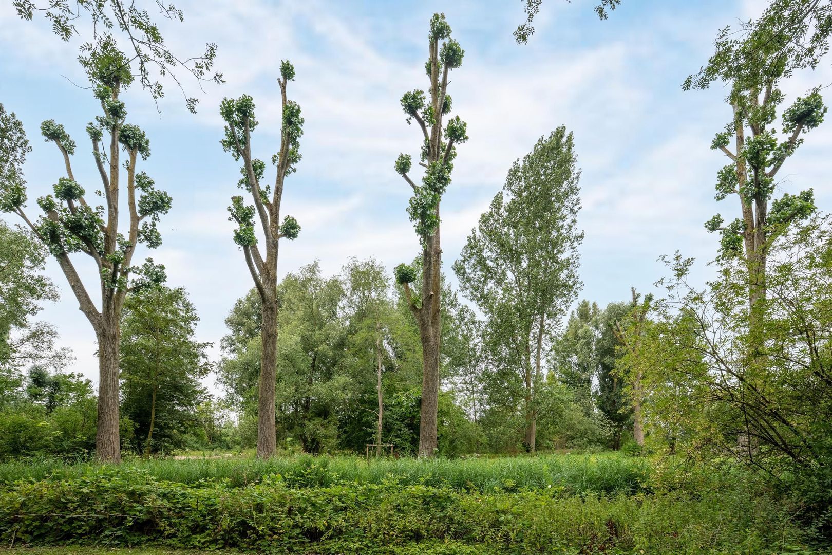 Tobias Asserlaan 360, Diemen foto-23