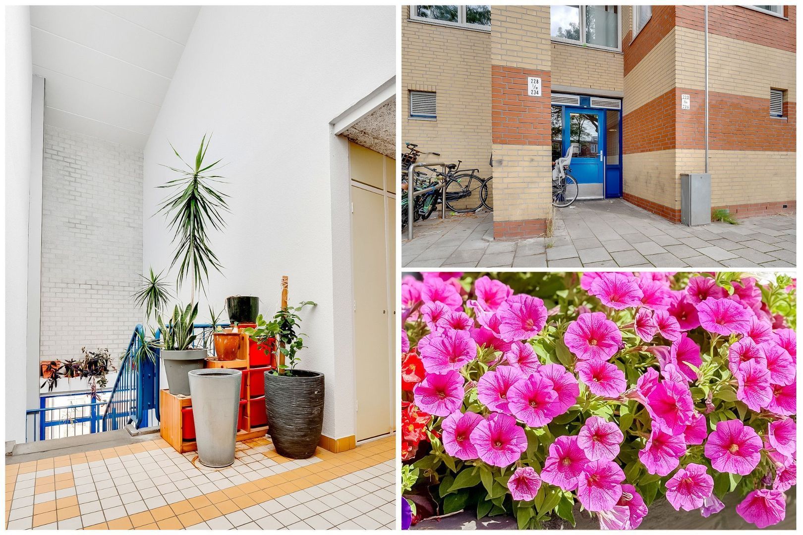 Kolfschotenstraat 226, Amsterdam foto-23